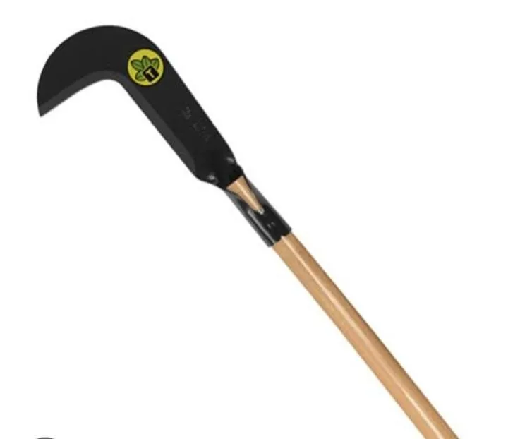 Imagem da campanha Beber cachaça