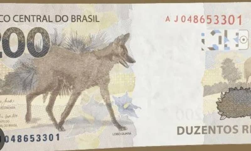 Imagem da campanha Rifa solidária para Rodrigo sotero