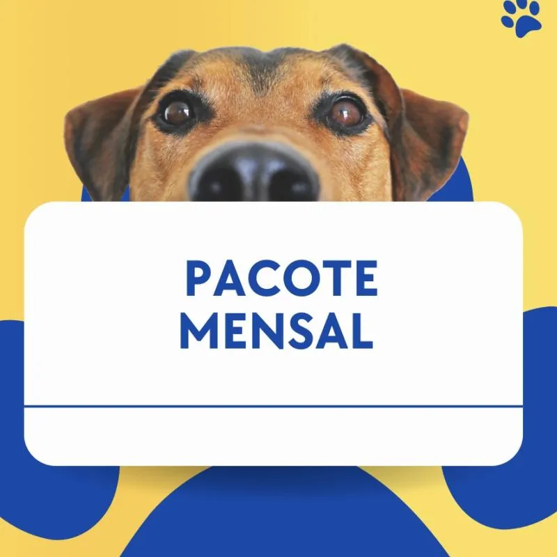 Imagem da campanha Pacote mensal.