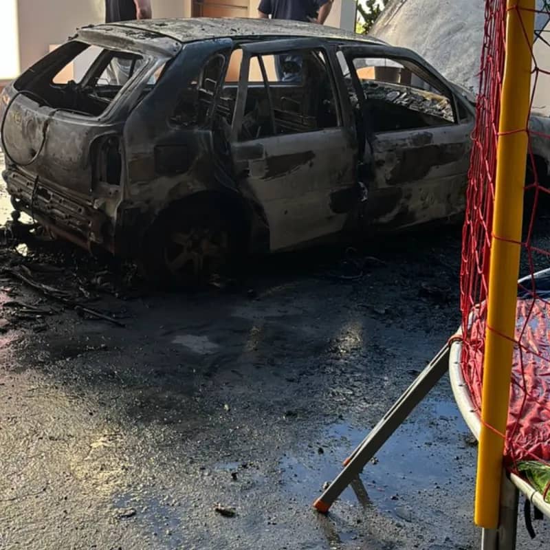 Imagem da campanha Vaquinha solidária !