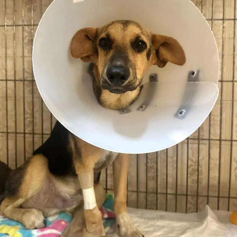 Imagem da campanha MEU NOME É PREMIADO, E EU PRECISO DA SUA AJUDA!