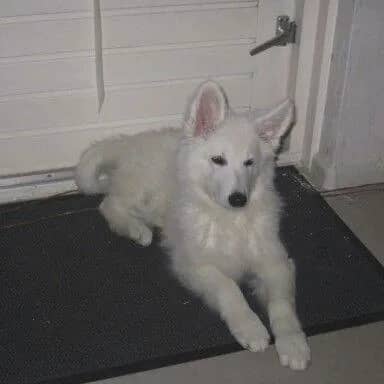 Imagem da campanha Rifa pix