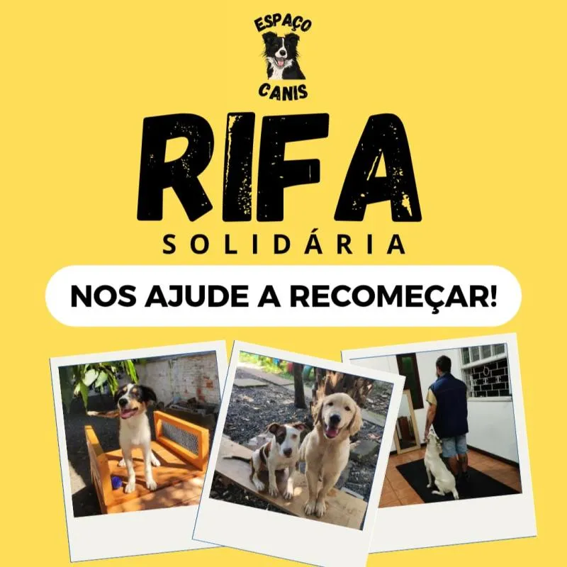 Imagem da campanha Recomeço da Espaço Canis