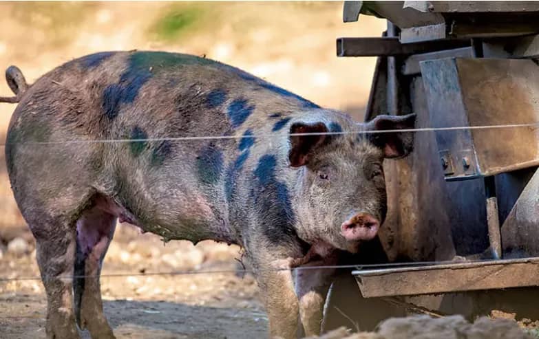 Imagem da campanha Ação Jovens - Missão Além das Possibilidades