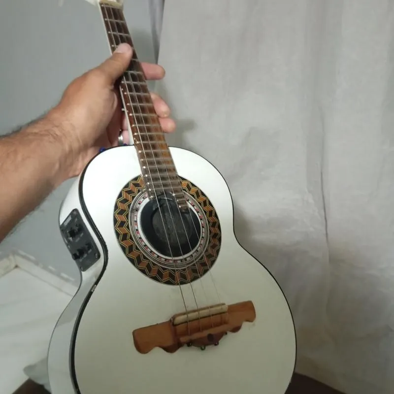 Imagem da campanha Cavaquinho Ramão luthier com capa.