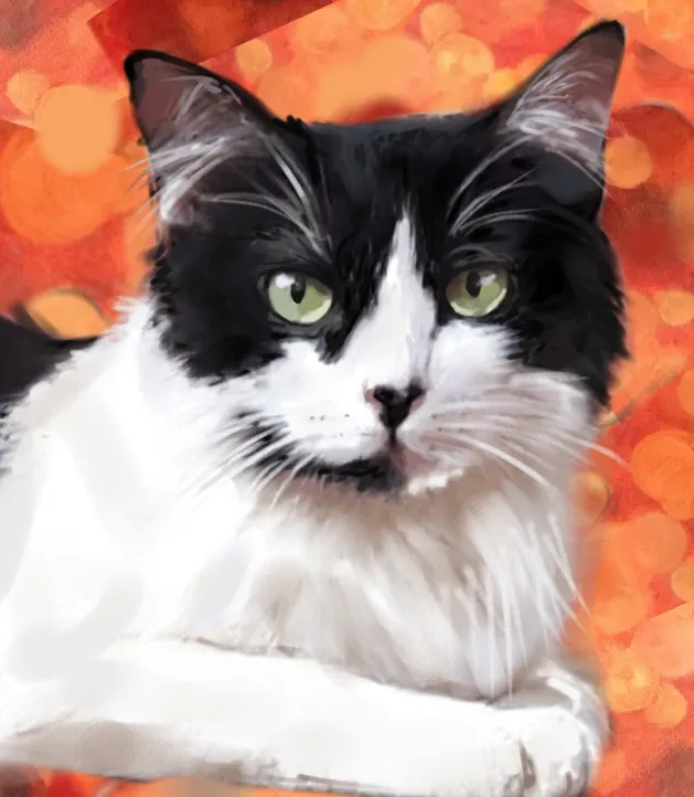 Imagem da campanha Ajude a construir a Casa Gattedo