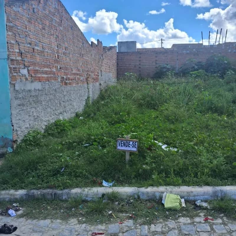 Imagem da campanha Campanha solidária