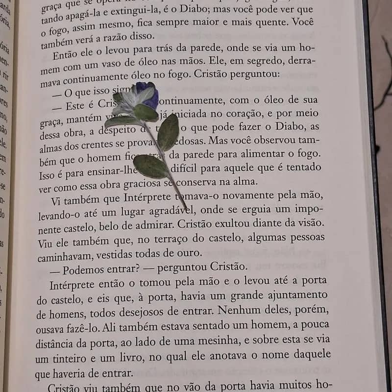 Imagem da campanha Ação entre amigos