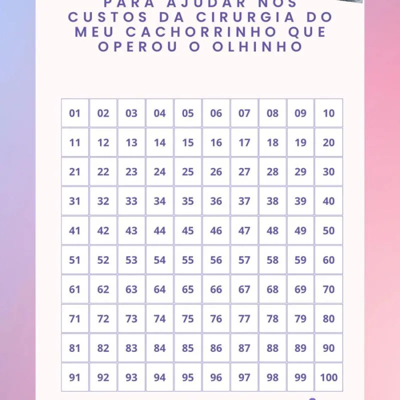 Imagem da campanha Rifa para ajudar nos custos da cirurgia do meu cachorro que operou o olhinho