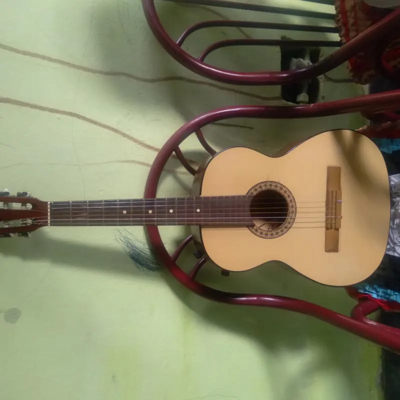 Imagem da campanha Rifando minha Viola