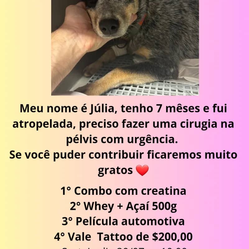 Imagem da campanha Ajude a Júlia