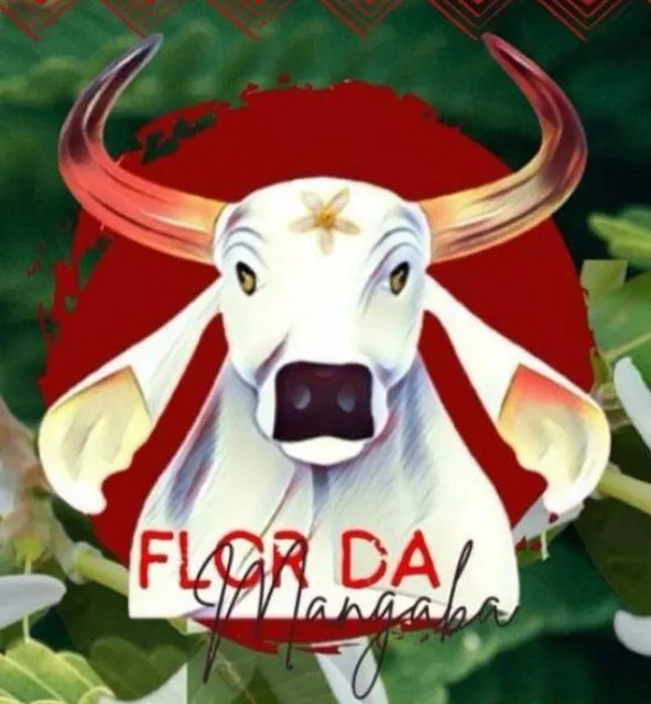 Imagem da campanha Levantador de toadas