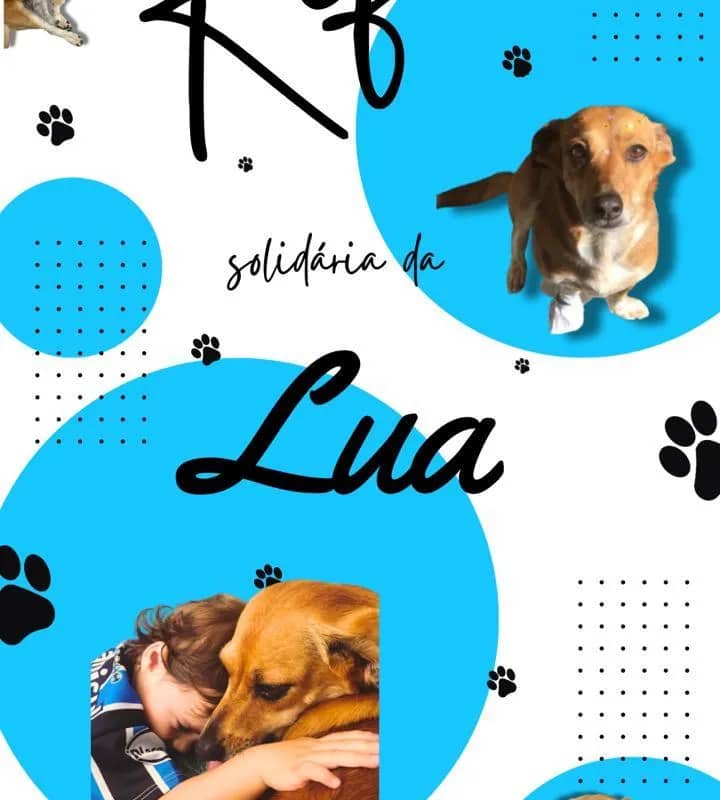 Imagem da campanha Rifa Solidária da Lua