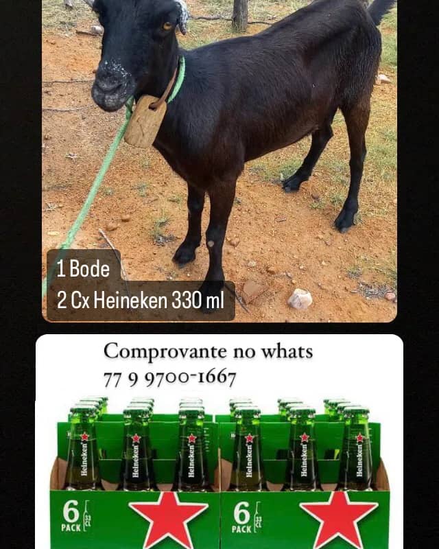 Imagem da campanha Rifa solidária em em prol de uma cirurgia.