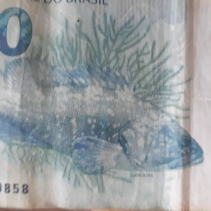 Imagem da campanha JA PENSO E LEVA 2 MIL NO PIX