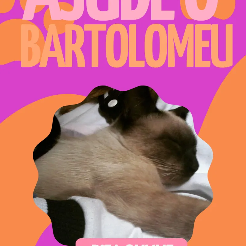 Imagem da campanha Ajude o Bartolomeu