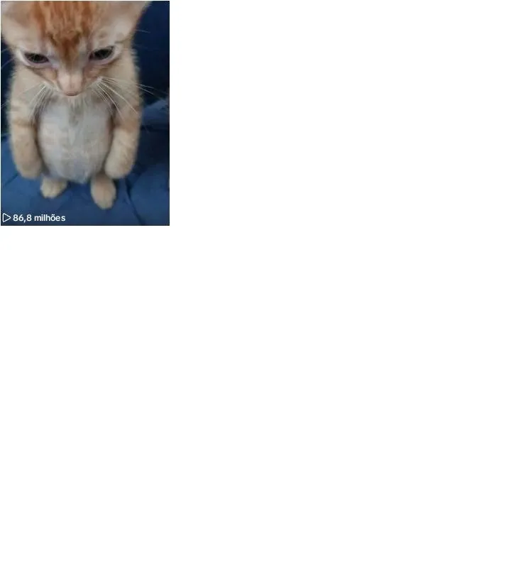 Imagem da campanha RIFA VALENDO CONTA DE 11K NO TTK