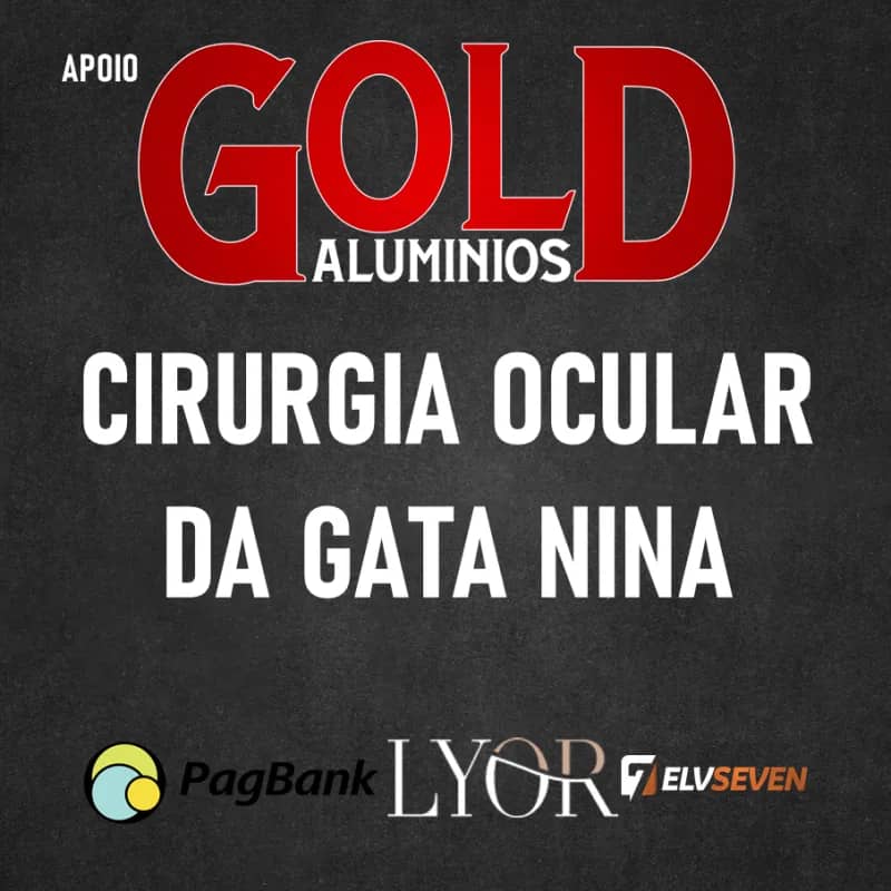 Imagem da campanha Cirurgia da Nina (Gata)