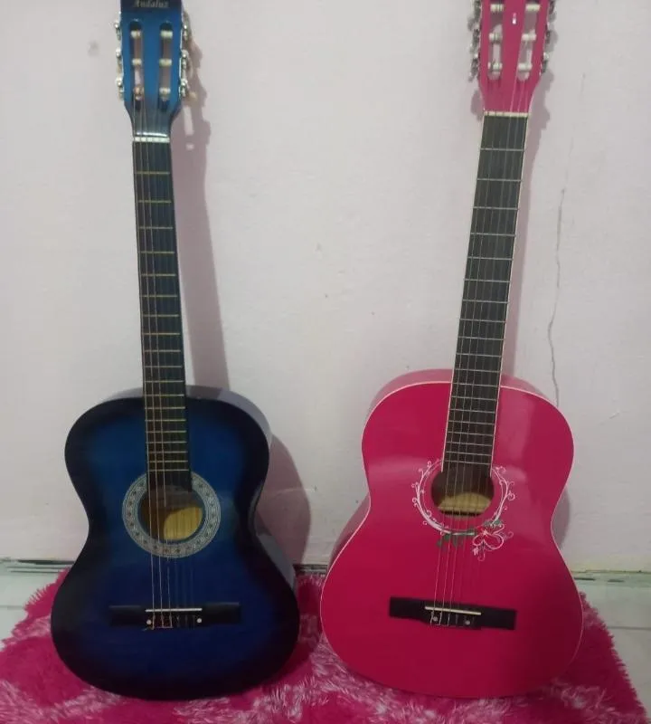 Imagem da campanha RIFA DE DOIS VIOLÕES