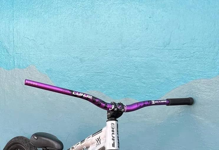 Imagem da campanha Guidão Lunje (Roxo)