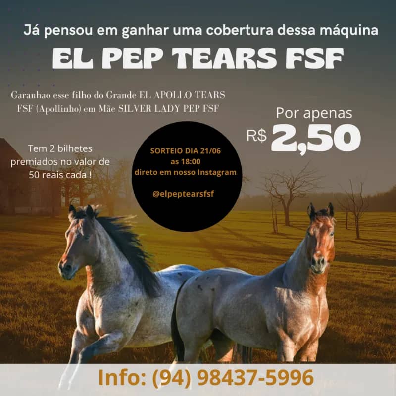 Imagem da campanha COBERTURA DO APOLLINHO JR