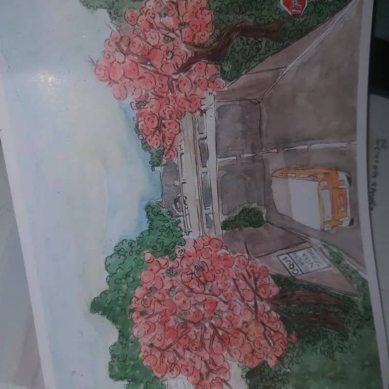 Imagem da campanha Ajude jaguar