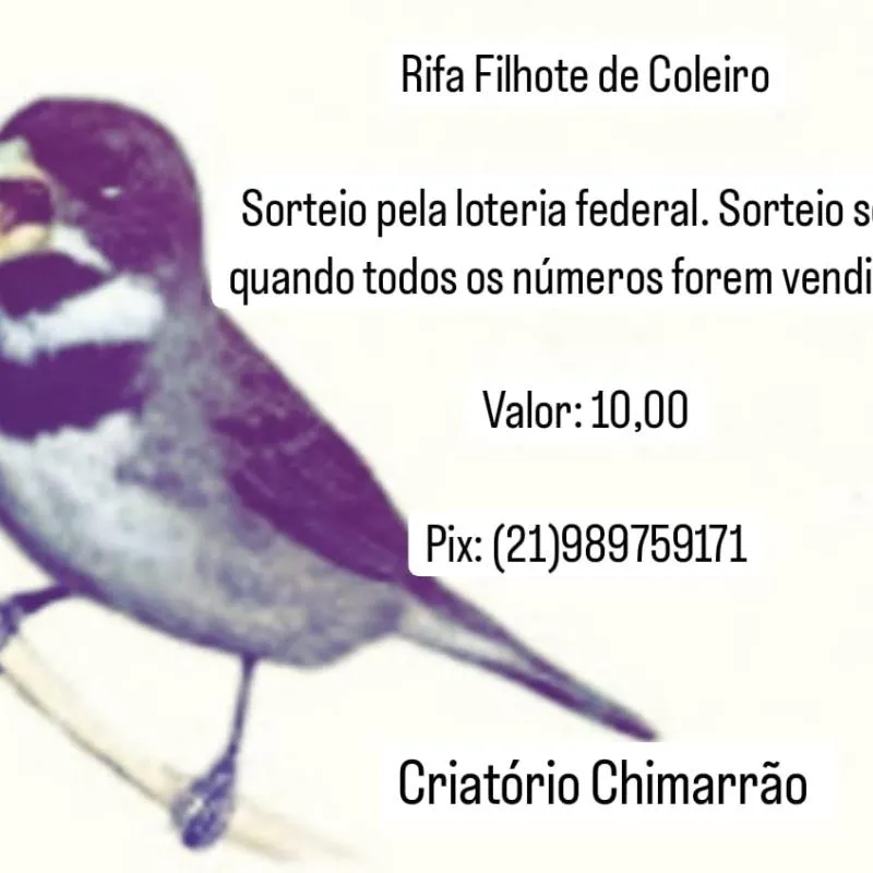 Imagem da campanha Rifa Coleiro de Cativeiro