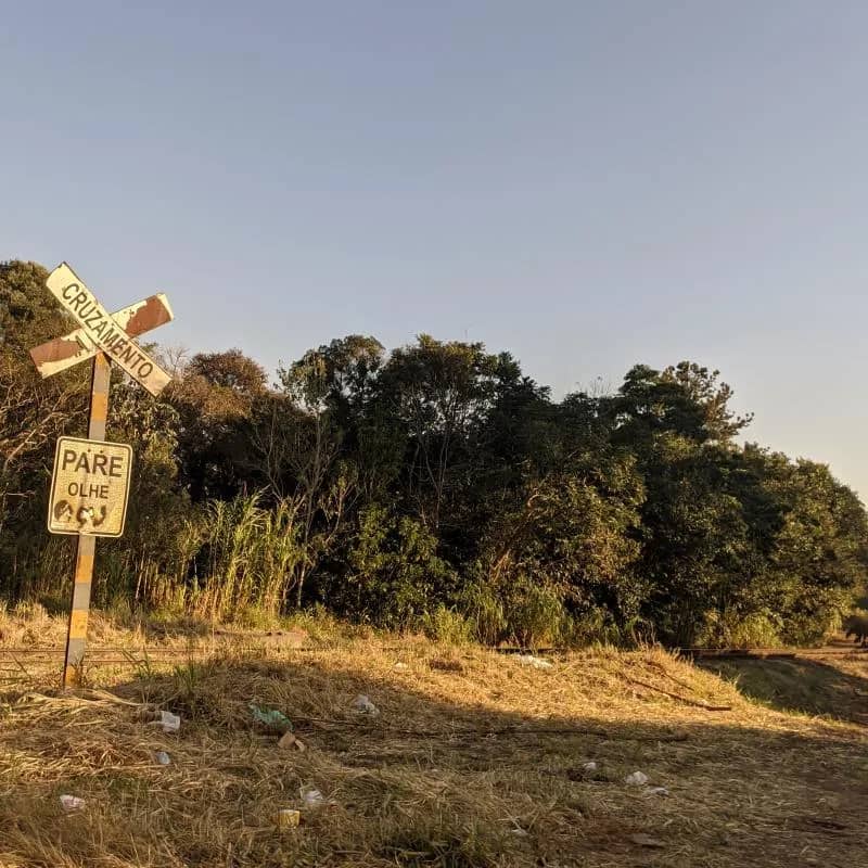 Imagem da campanha RIFA R$