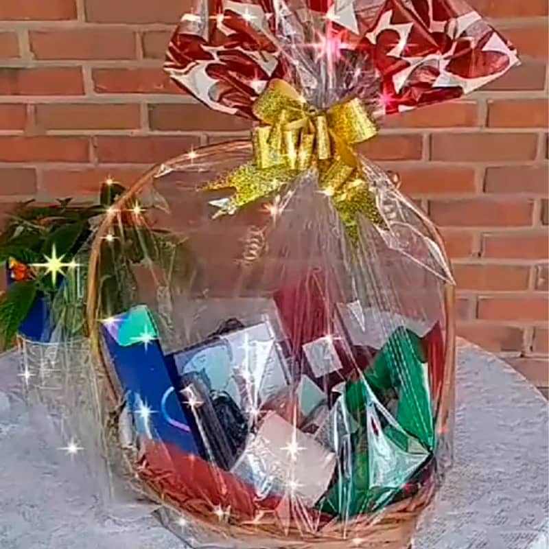 Imagem da campanha Sorteio - Em prol do transporte para a missão Zoe