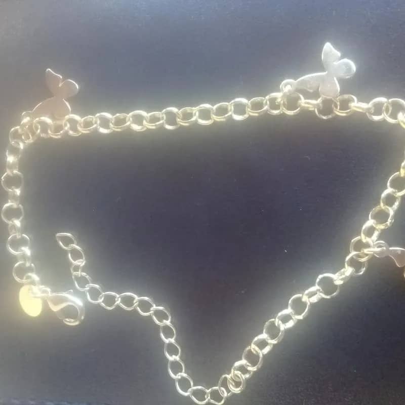 Imagem da campanha Fazer uma cirurgia no meu cachorro