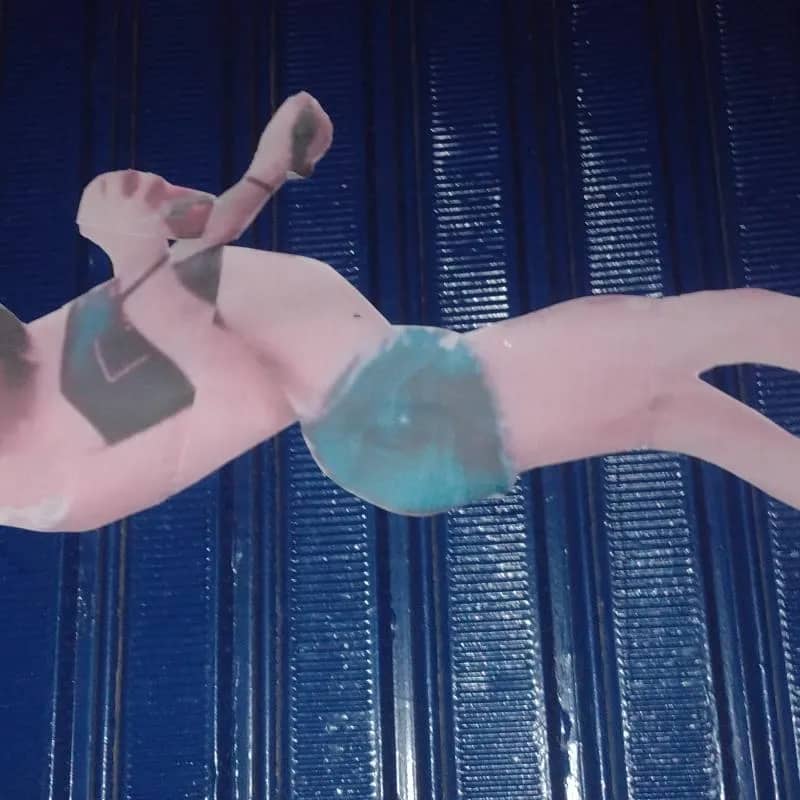 Imagem da campanha Rifa para Max ir ao DDJ 2024