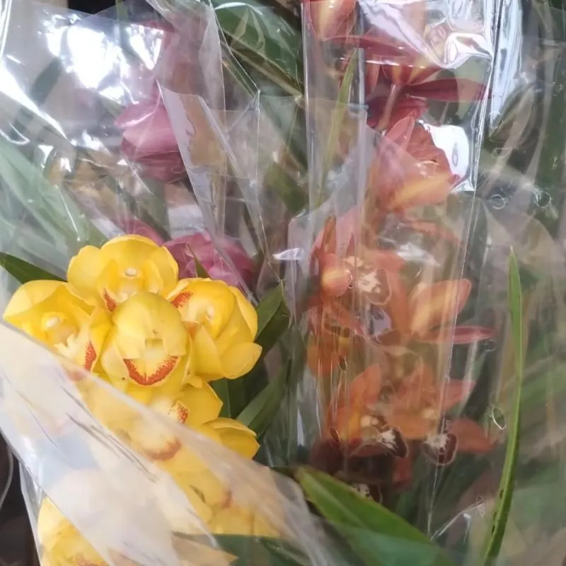 Imagem da campanha Reforma cozinha igreja