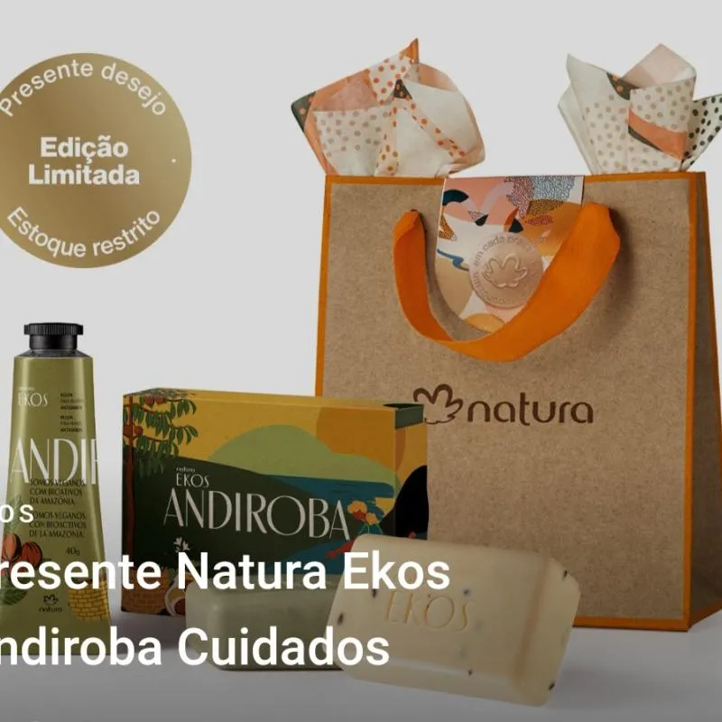 Imagem da campanha Resgate de cães das enchentes do RS