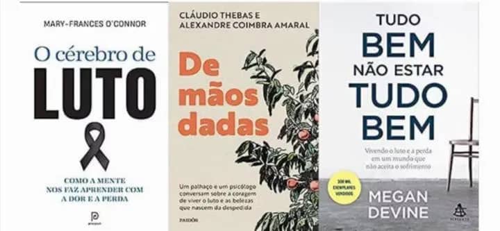 Imagem da campanha Kit 3 Livros O Cérebro Luto + Mãos Dadas + Tudo Bem Não