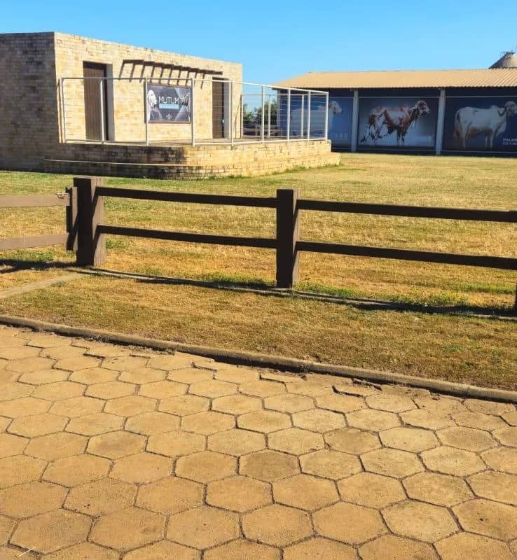 Imagem da campanha TEste