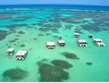 Imagem da campanha PASSEIO PARA MARAGOGI