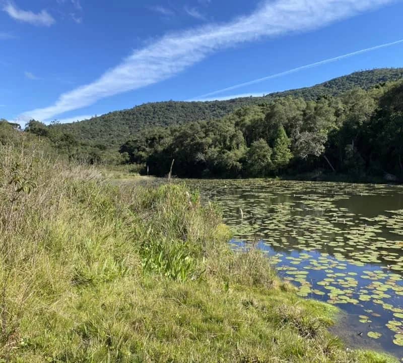 Imagem da campanha 10 k