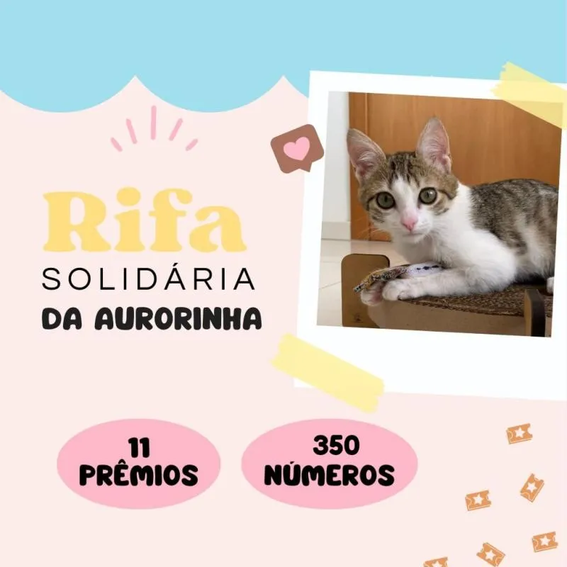 Imagem da campanha Rifa para Aurorinha