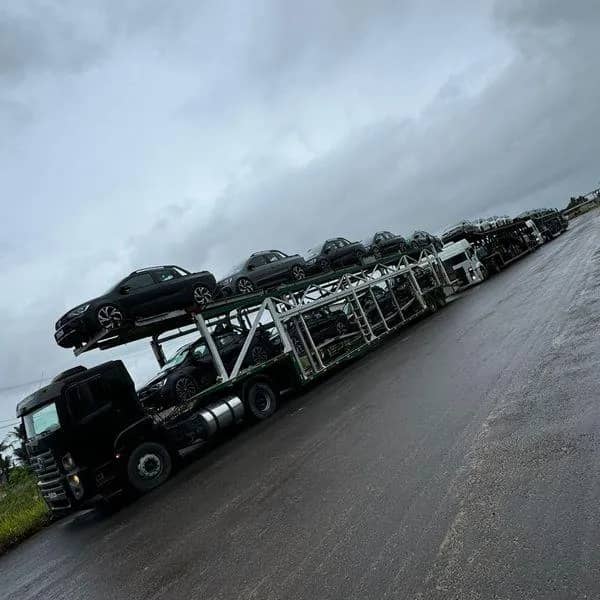 Imagem da campanha TRIO CEGONHA MILIONARIA