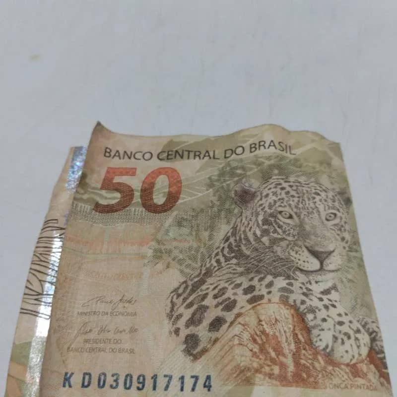 Imagem da campanha Rifa do Vini e do Guga