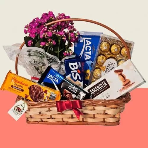 Imagem da campanha Ajuda Isadora com suas lentes coloridas- Síndrome de Irlen