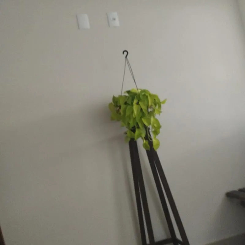 Imagem da campanha Ação solidária