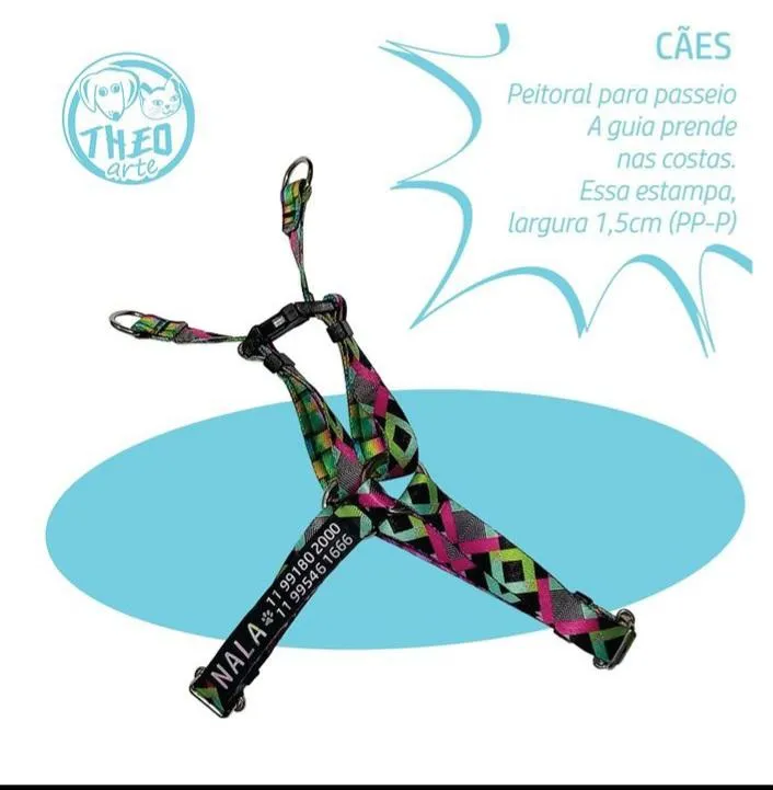 Imagem da campanha Resgatados Na Casinha: Peitoral de passeio