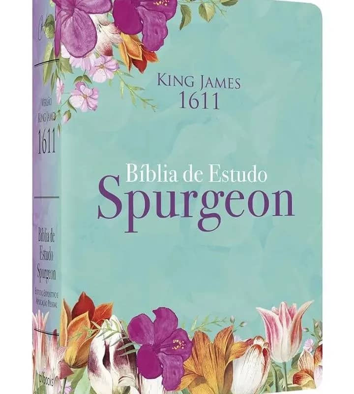 Imagem da campanha Viagem Encontro Insano!!