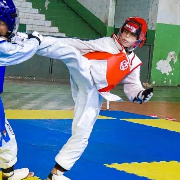 Imagem da campanha Rifa para ajudar nos custos da Copa Sudeste de Taekwondo