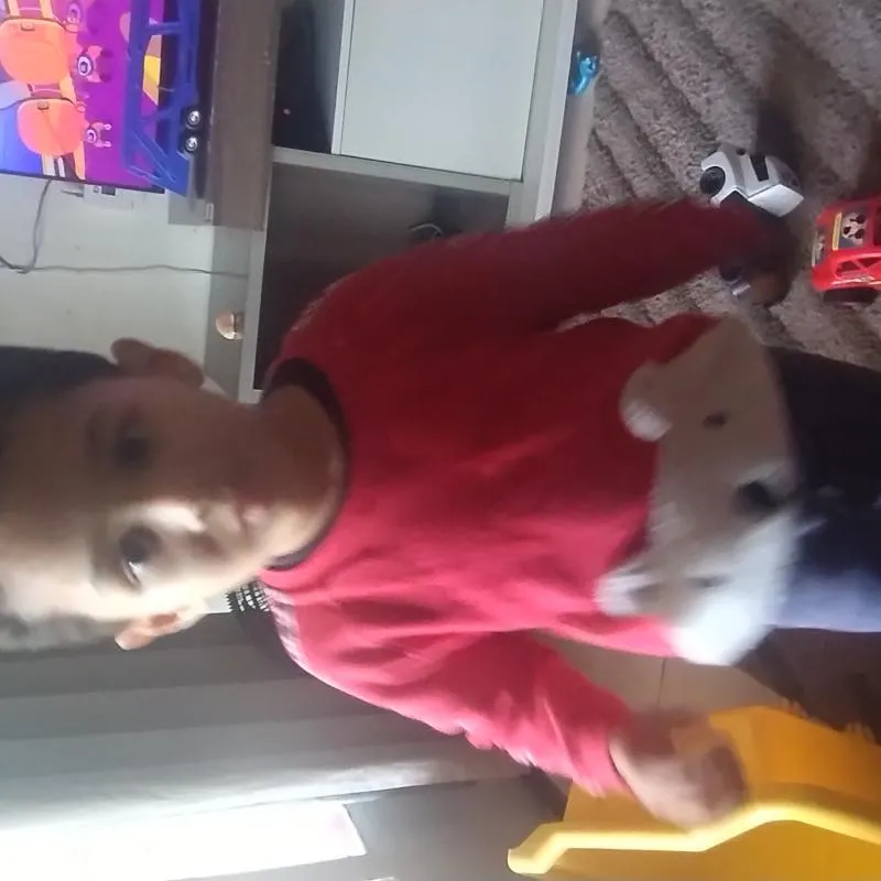 Imagem da campanha Ajuda  financeira