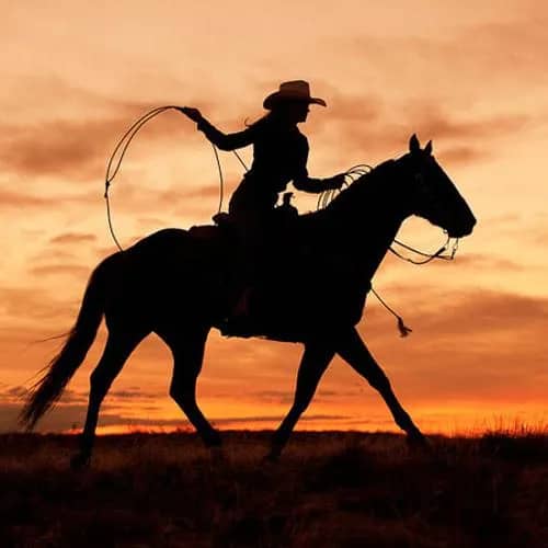 Imagem da campanha Sorteio