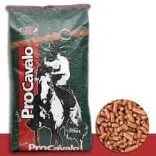 Imagem da campanha 2 saco de ração/ ou 250$ no pix