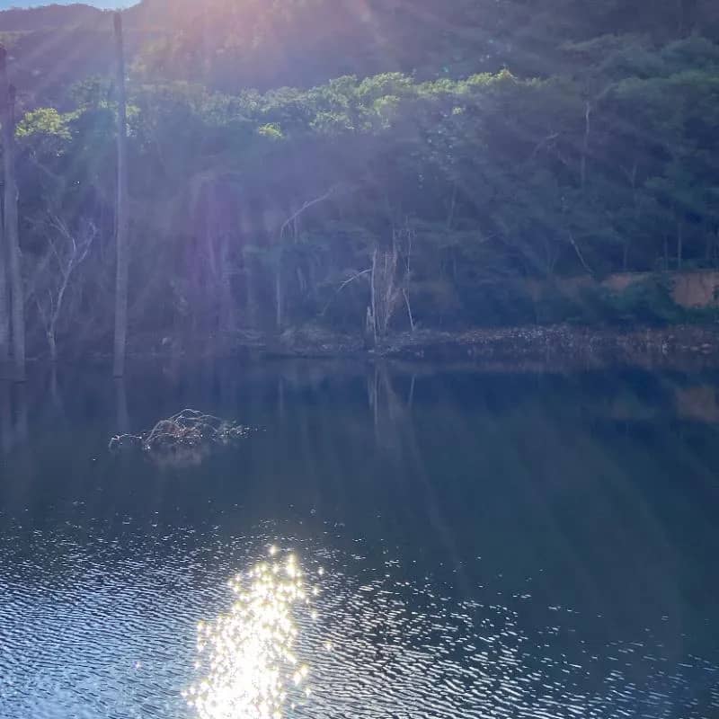 Imagem da campanha iPhone 11 ou 1.000 no Pix