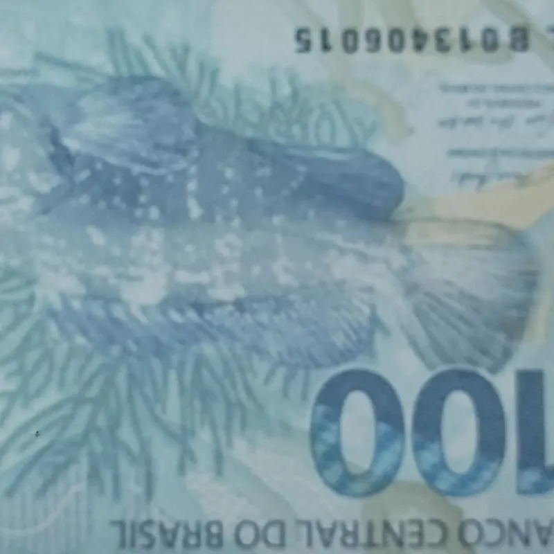 Imagem da campanha Rifa dia dos pais